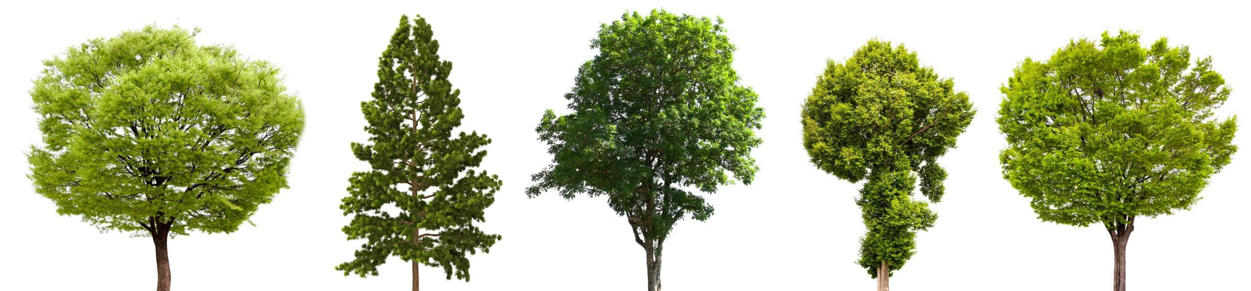 Sensoren & Sender Smart Tree Screening Bäume