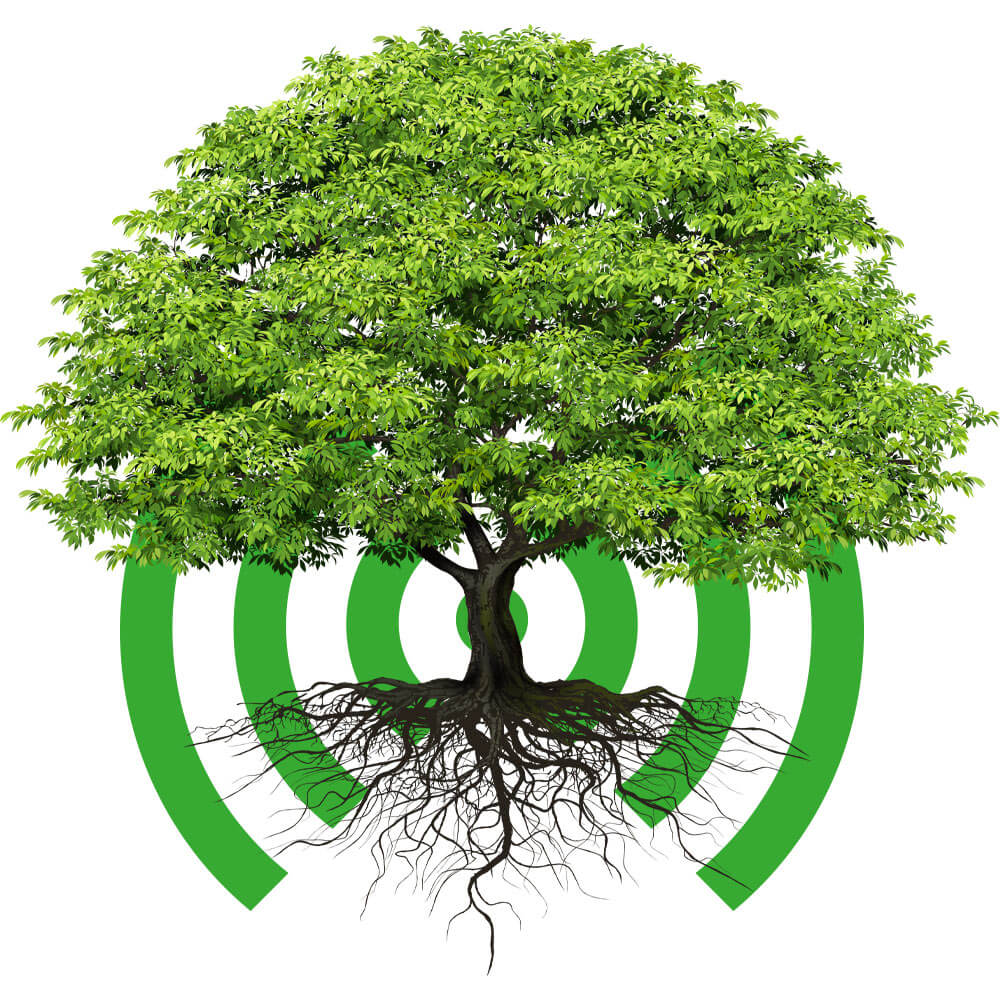 Smart Tree Screening (STS) Sensoren und Sender